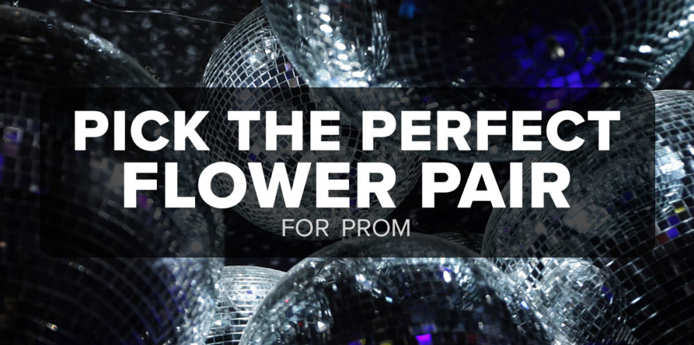 Prom Bold